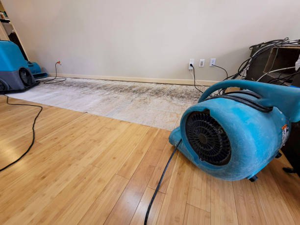Professional Ceiling Water Damage Repair technician working in Richfield, MN